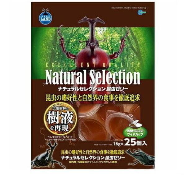 }J i`ZNV [[ (16g×25P)×20iP[X̔j