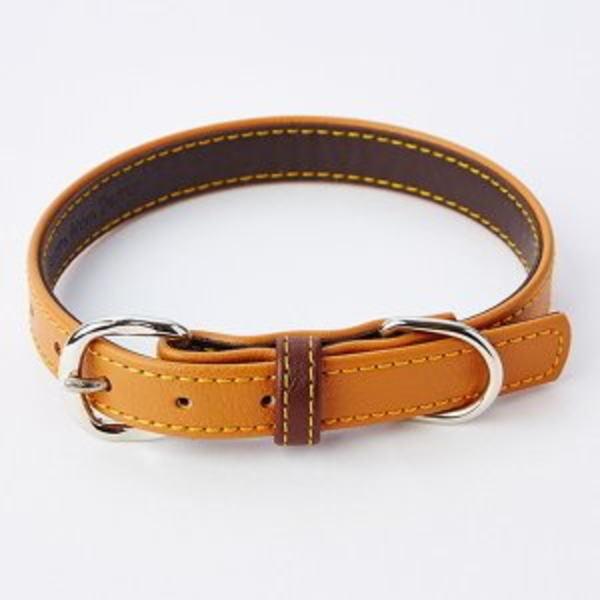 yeBI@Porta \tgU[J[  M  21 L