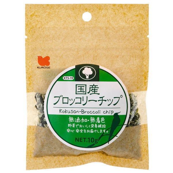 ybgt[h Y@ubR[`bv@10×20iP[X̔j