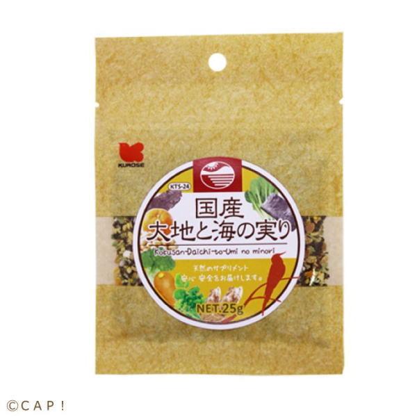 ybgt[h  Y nƊC̎ 25g×20iP[X̔j