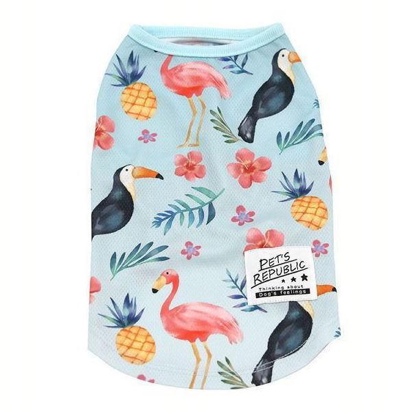 LEW305  nCA m[X[u  3  XJCu[