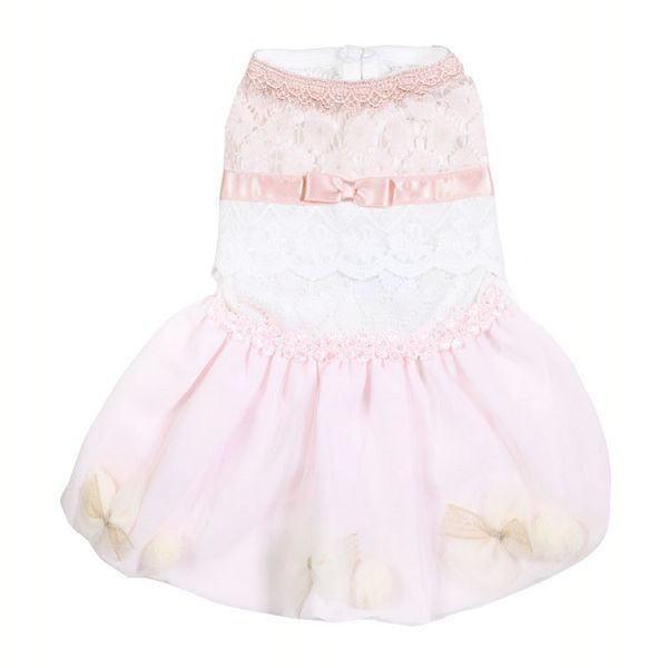 LGW322@XC[go[s[X  2@sN