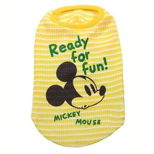 LCD303@MMbt{[_[^N  S  CG[