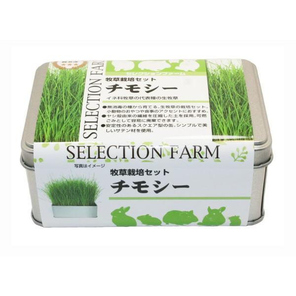 C[X^[@ZNVt@[@q͔|Zbg@`V[