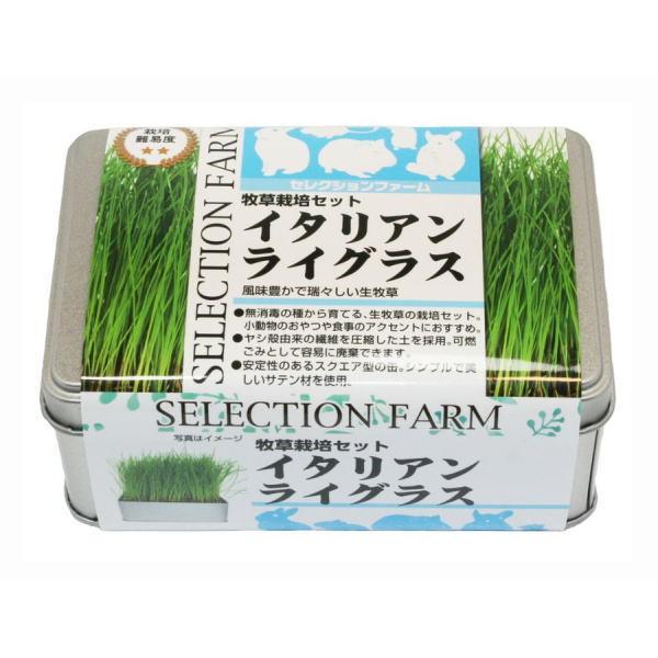 C[X^[@ ZNVt@[@ q͔|Zbg@C^ACOX