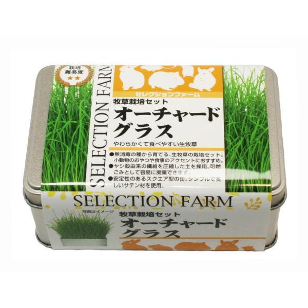 C[X^[@ ZNVt@[@ q͔|Zbg@I[`[hOX