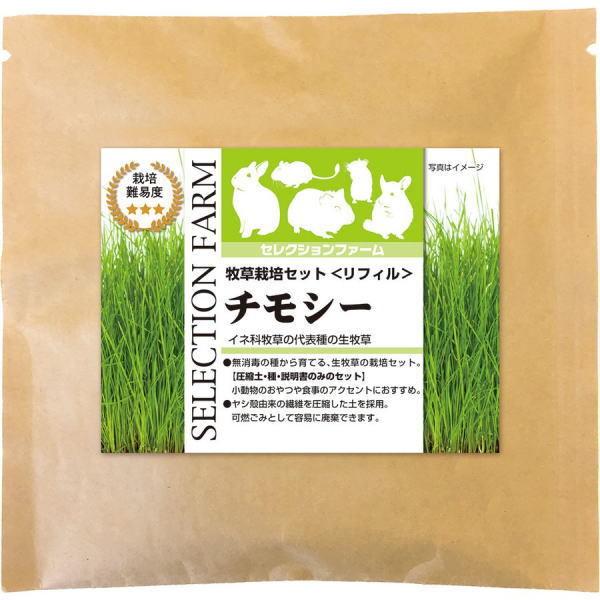 C[X^[@ZNVt@[@q͔|ZbgtB@`V[