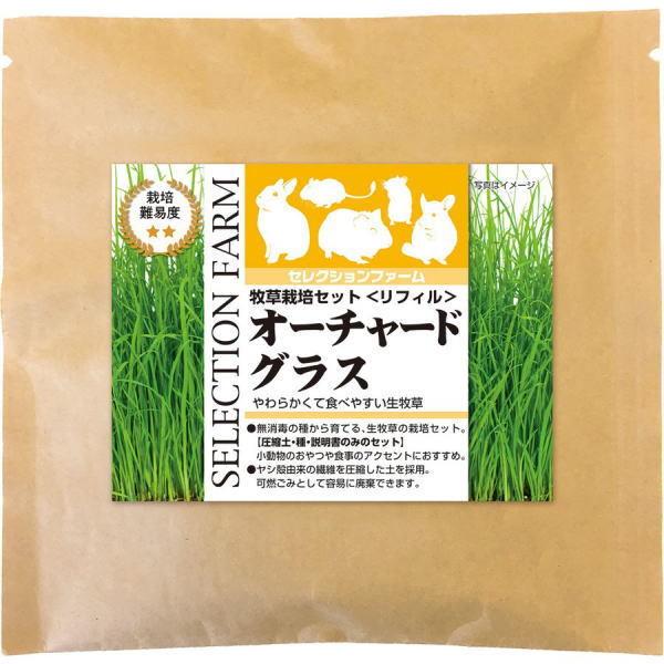 C[X^[@ZNVt@[@q͔|ZbgtB@I[`[hOX