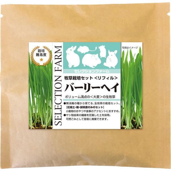 C[X^[@ZNVt@[@q͔|ZbgtB@o[[wC