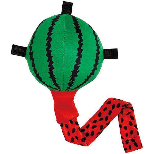 びよ~ん!フルーツ スイカ ペティオ ビヨ-ンフル-ツ