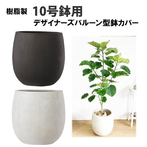 観葉植物 10号 大型 鉢の人気商品 通販 価格比較 価格 Com