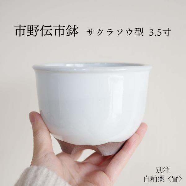 MANOMADE社別注市野伝市鉢 サクラソウ型 3.5寸 白色鉢です。※受け皿は別売になります。---植木鉢 コーデックス アガベ 塊根