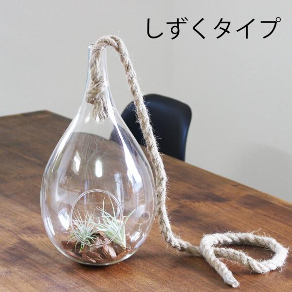 ハンギング ガラス ロープ付き エアプランツ 観葉植物 多肉植物 オブジェ アンティーク インテリア おしゃれな 送料無料 Buyee Buyee 日本の通販商品 オークションの代理入札 代理購入
