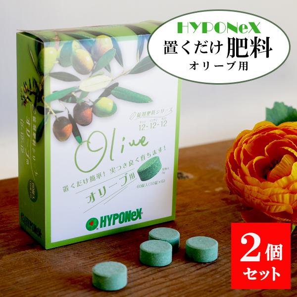 置くだけ簡単肥料 オリーブ用 ハイポネックス 2箱セット hyponex 園芸