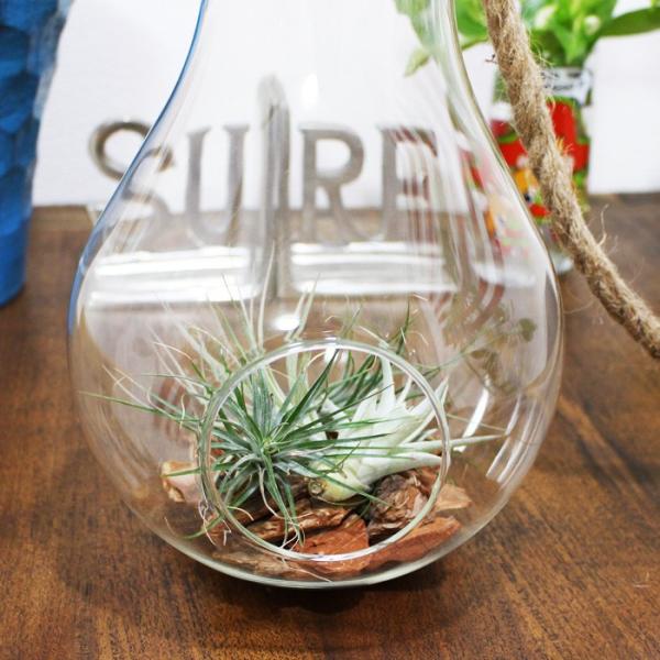 インテリアバーク 6l Sサイズ 鉢土かくし 装飾 乾燥防止 水はね防止にも デコレーション 園芸用 ガーデニング 鉢植え 送料無料 Buyee Buyee Japanese Proxy Service Buy From Japan Bot Online