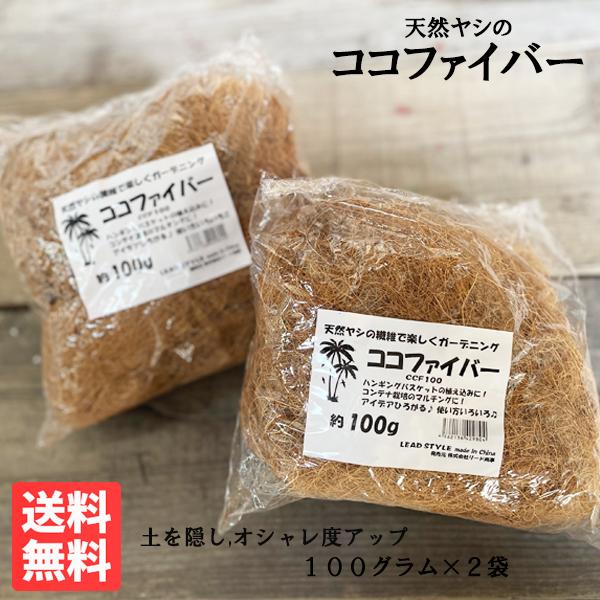 ヤシの繊維 100gx2セット ココヤシファイバー 天然素材 アイディア