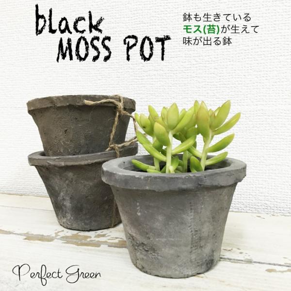 モスポット ブラック３鉢 植木鉢 陶器鉢 テラコッタ鉢 素焼き鉢 鉢底穴アキ プランター おしゃれな植木鉢 Mossポット 送料無料 Buyee Buyee Japanese Proxy Service Buy From Japan Bot Online