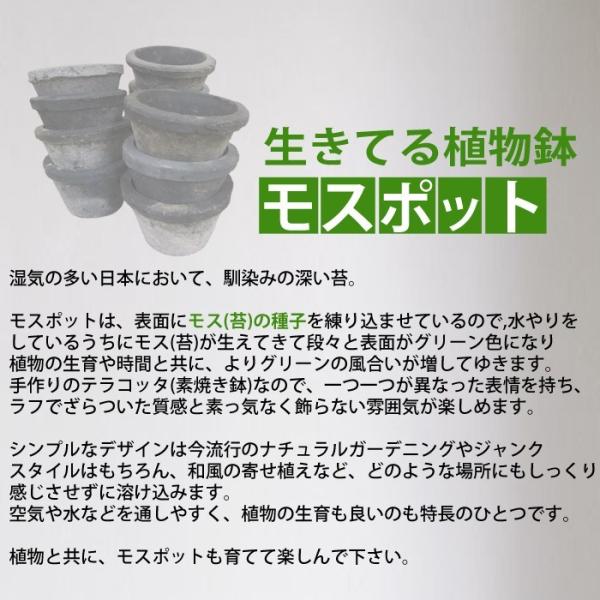 モスポット ブラック３鉢 植木鉢 陶器鉢 テラコッタ鉢 素焼き鉢 鉢底穴アキ プランター おしゃれな植木鉢 Mossポット 送料無料 Buyee Buyee 提供一站式最全面最專業現地yahoo Japan拍賣代bid代拍代購服務 Bot Online