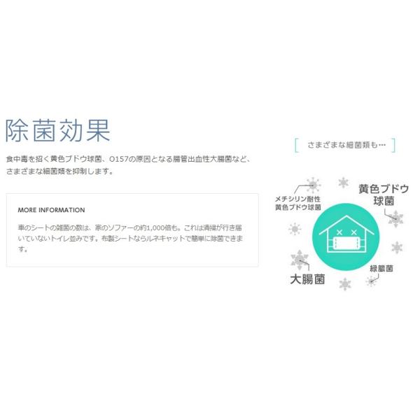 東芝 ルネキャット 光触媒スプレー 除菌 消臭 抗ウイルス効果 布 繊維用 室内光でも分解除去 180g Rma 03 180b Buyee 日本代购平台 产品购物网站大全 Buyee一站式代购 Bot Online