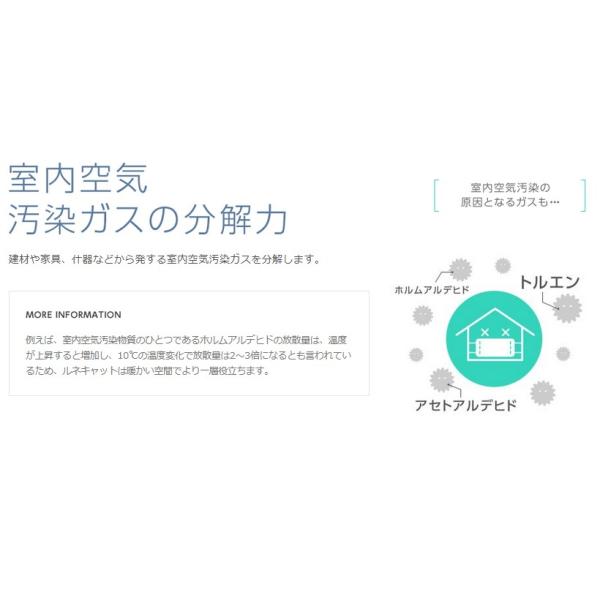 東芝 ルネキャット 光触媒スプレー 除菌 消臭 抗ウイルス効果 布 繊維用 室内光でも分解除去 180g Rma 03 180b Buyee 日本代购平台 产品购物网站大全 Buyee一站式代购 Bot Online