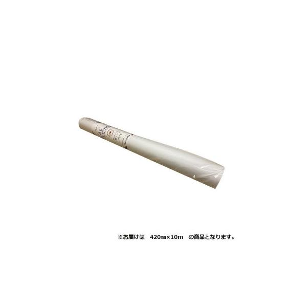 オストリッチダイヤ 1ミリ方眼紙ロールセクション 420mm×10m 1本 41