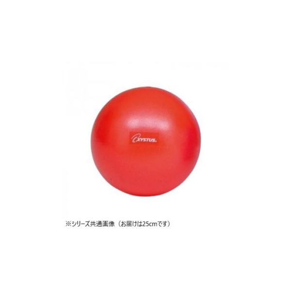 空気注入量によって柔軟性、弾力性の変わるボールです。