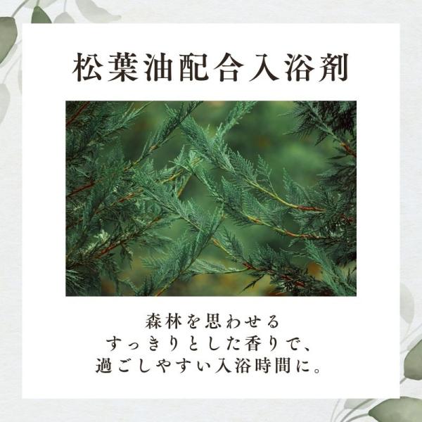 phatee_b018-001-03_2_d_20251211123819