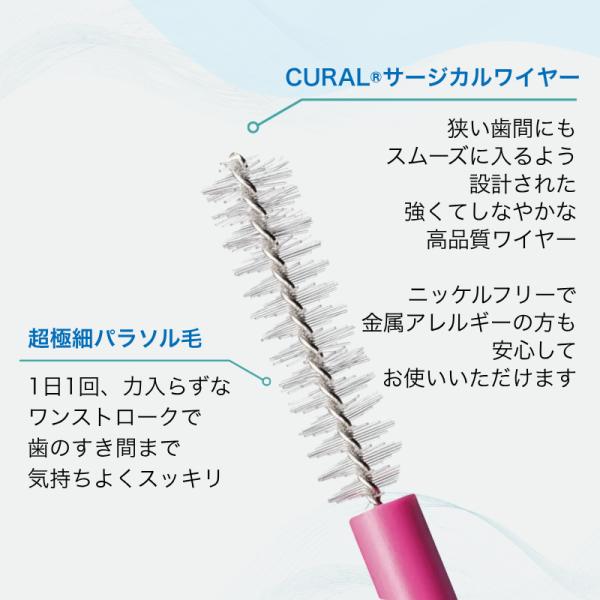 phatee_curaprox-refill_1_d_20250624114433