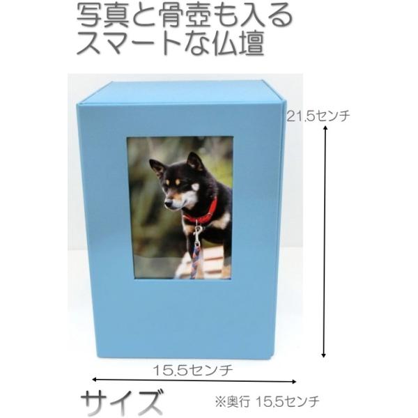 2005 كJo[ ₷炬̉ u[