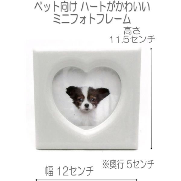 ybgn[g^tHgt[ zCg3013 DOG CATʐ^