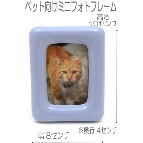 ybgtHgt[ u[3015 DOG CATʐ^