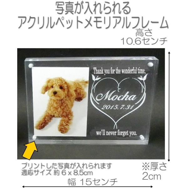 4018ybg̎ʐ^ƖOANʔv tHgt[jgMNA DOG CATAv[g