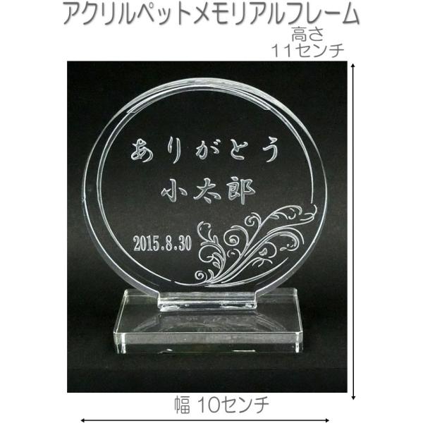 4031ybgʔvAN_肪Ƃۈʔv NA[ DOG CATAv[g