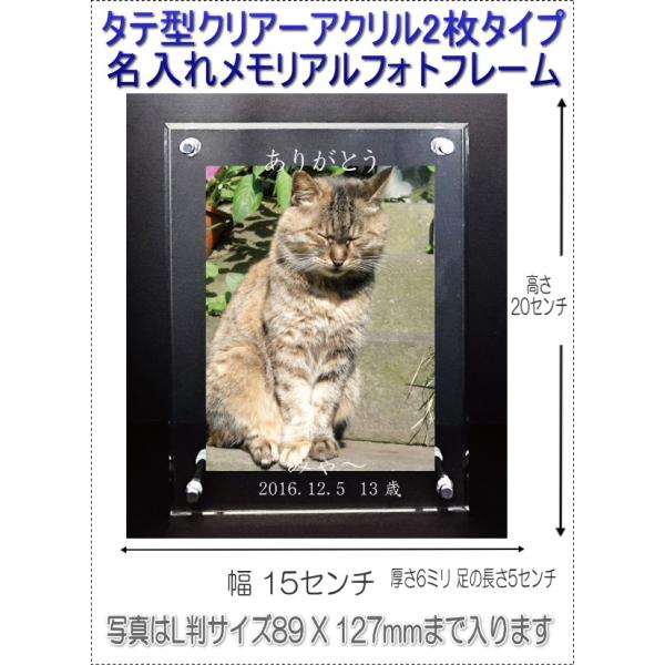 ˂񖼓ꃁAANtHgt[ ybgʔv c^4040-c