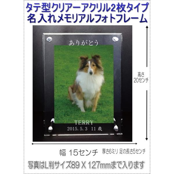 񂿂񖼓ꃁAANtHgt[ybgʔv c^4040-d