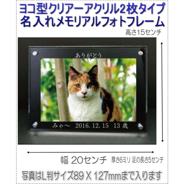 ˂񖼓ꃁAANtHgt[ybgʔv R^4041-c