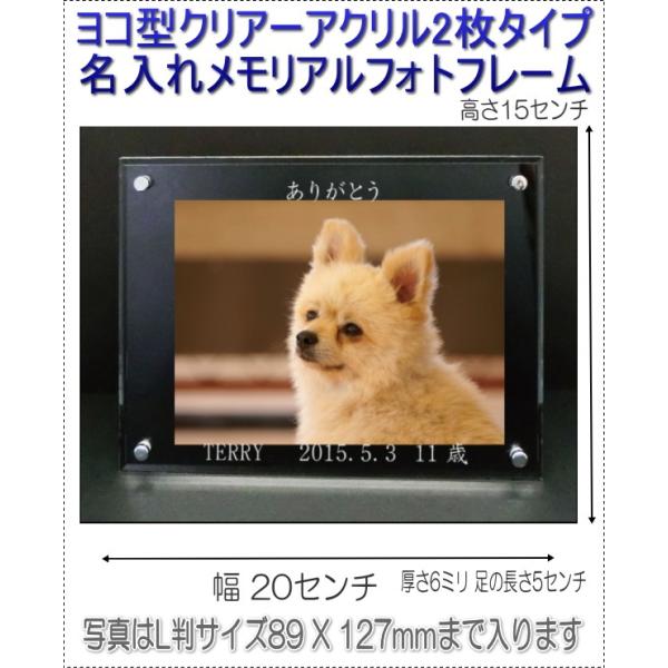 񂿂񖼓ꃁAANtHgt[ybgʔv R^4041-d