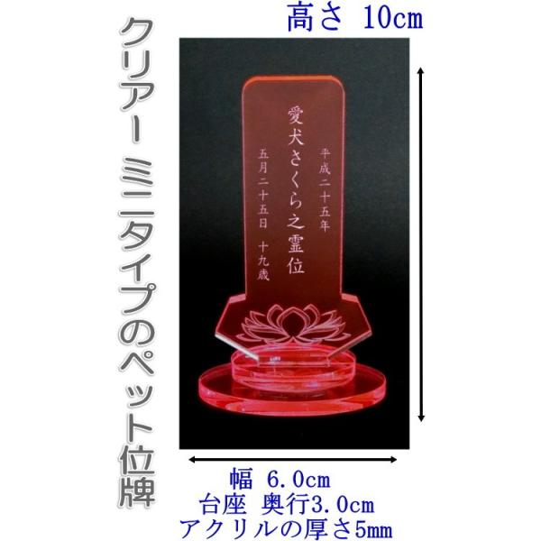 4100Pybg̖Oybg~jANʔv @̉ԃsN ybgd pRpNgTCY  DOG CATAv[g