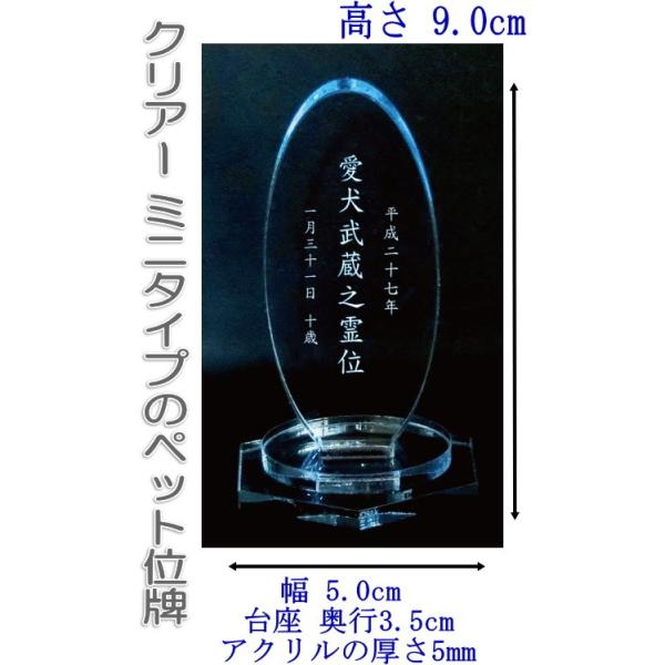 4200Bybg̖Oybg~jANʔv ȉ~u[  ybgd pRpNgTCY DOG CATAv[g