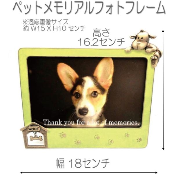 4335_CLXghbOtHgt[ hbNL tHgt[DOGʐ^