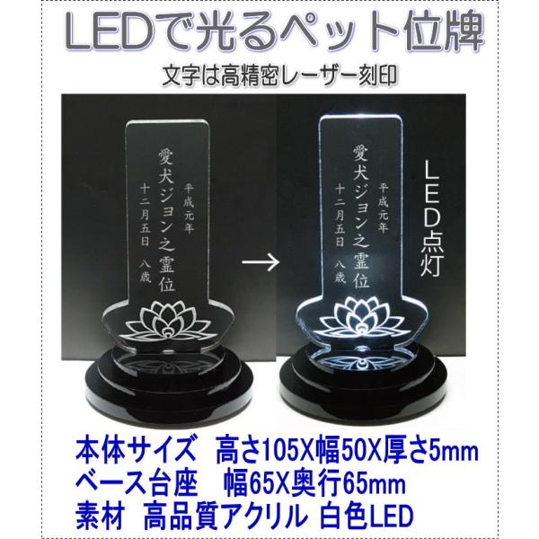 4600LEDłꂢɌybgAN~jLEDʔvlp@̉ 