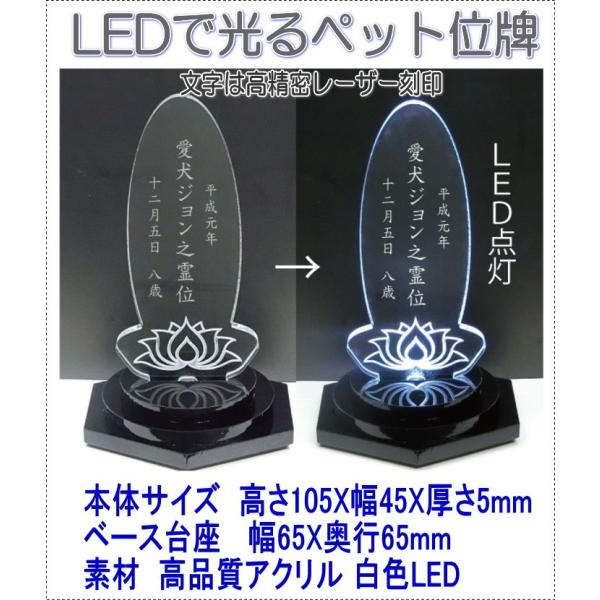 4650LEDłꂢɌybgAN~jLEDʔvȉ~@̉ 