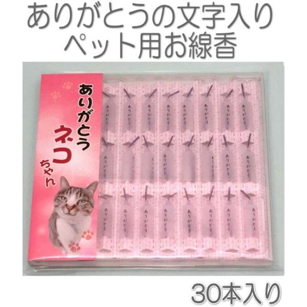 ybg@˂񂠂肪Ƃ낤30{CDP[X5022