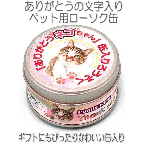 ybg ˂񂠂肪Ƃ낤30{ʓ5023