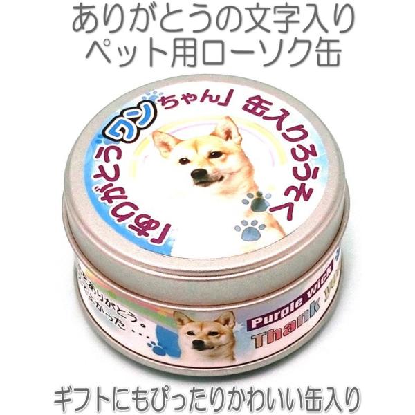 ybg񂿂񂠂肪Ƃ낤30{ʓ5024