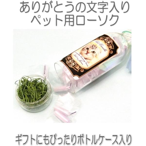 ybg ˂񂠂肪Ƃ낤30{{gP[X5026