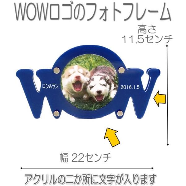 7006HOW tHgt[7006ybg̖O_CJbgʐ^