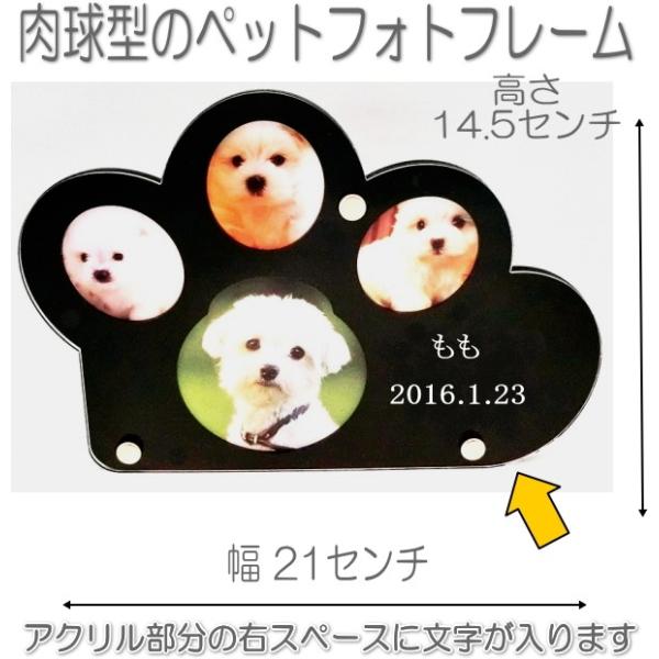 7009BK_CJbgybgtHgt[ubNybg̖O_CJbgʐ^