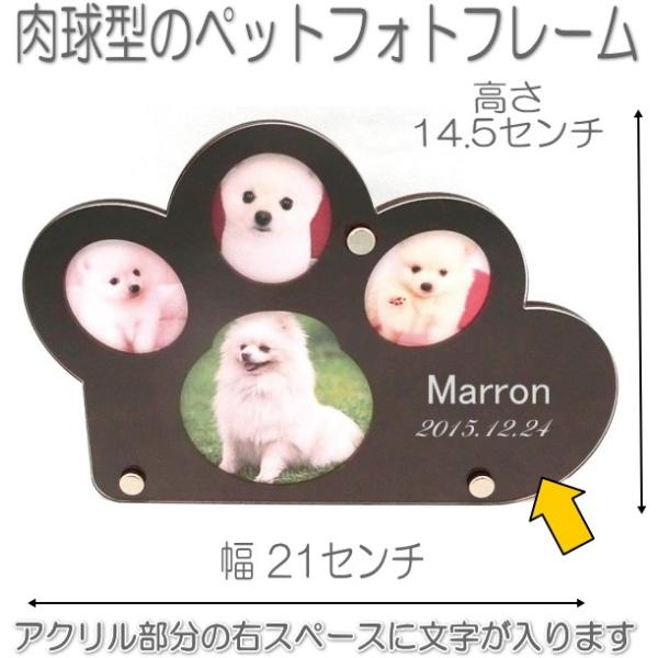 7009BR_CJbgybgtHgt[uEybg̖O_CJbgʐ^