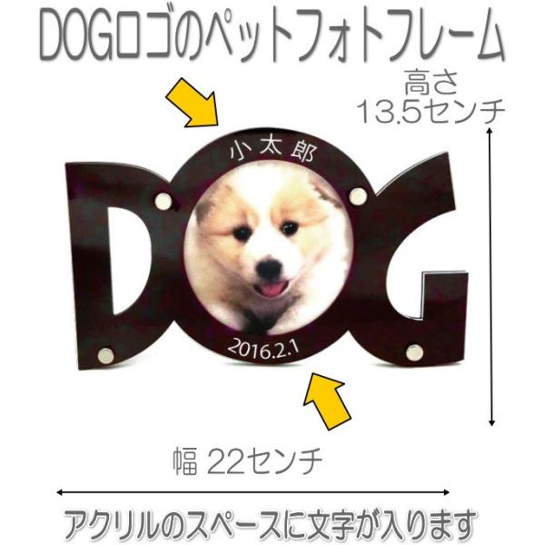 7011DOGʖtHgt[ybg̖OAt@xbg _CJbgDOGʐ^